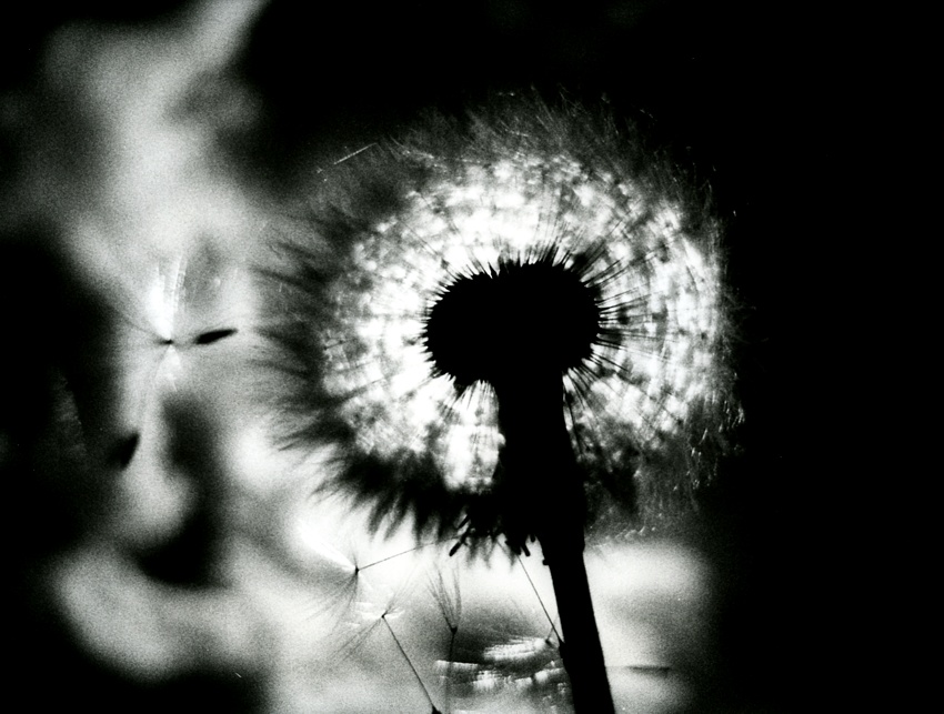 Summer wind