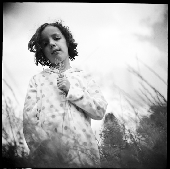 Summertime; Freyha, Limousin 2010