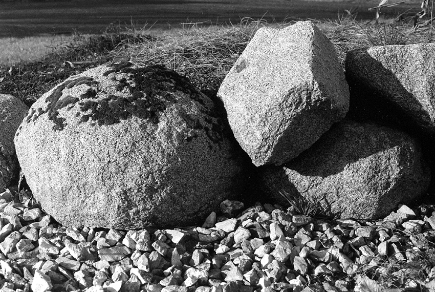 Summicron Rocks