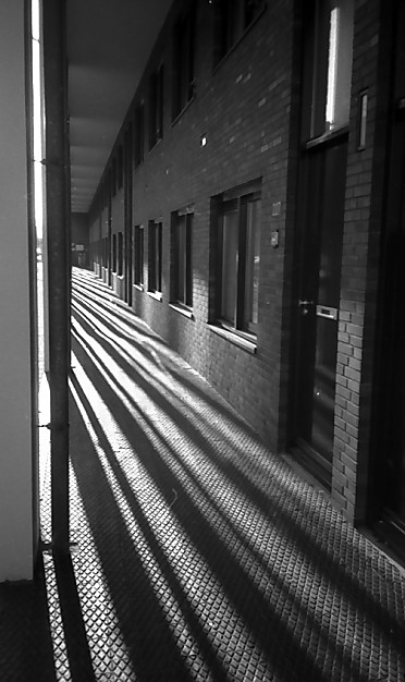 sun & pillars