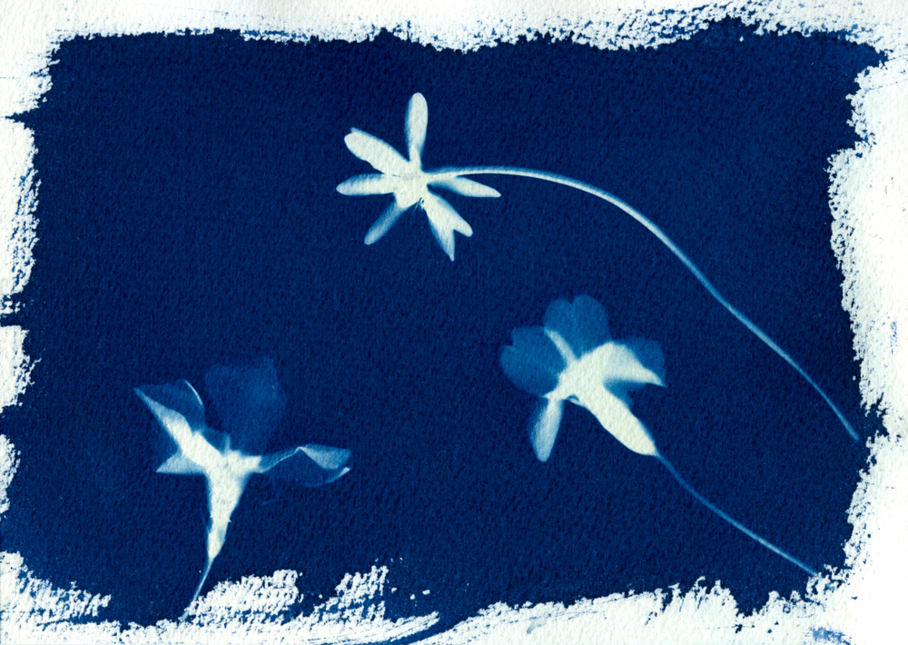 Sun Spring