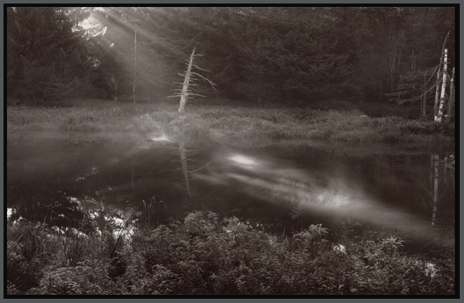 Sunbeam, Pool, Maine