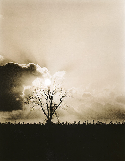 Sunburst