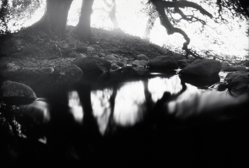 Sunday Pinhole