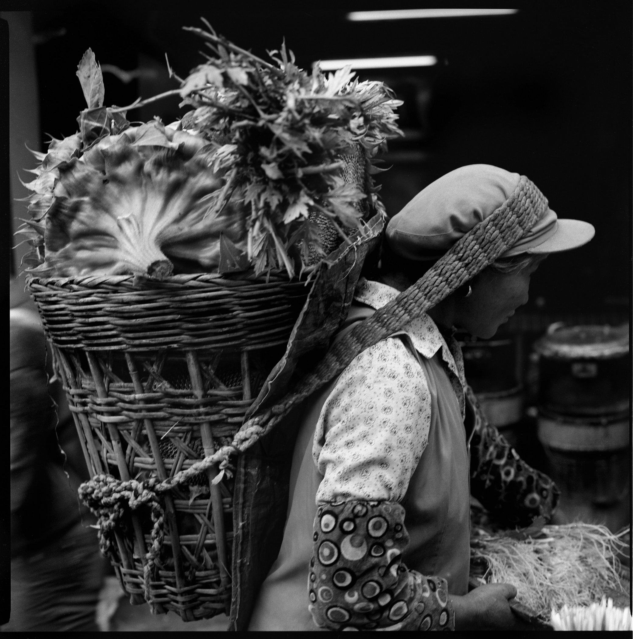Sunflower Lady