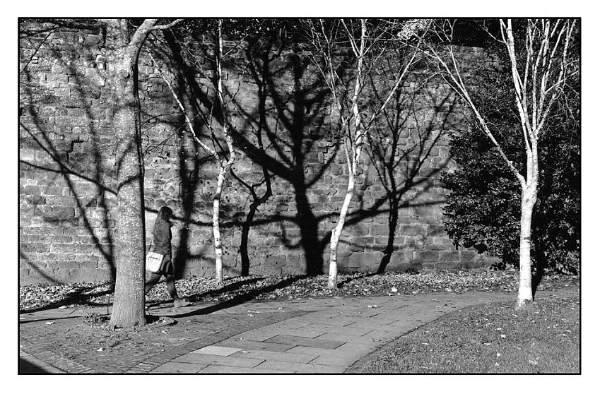 sunlight and shadows