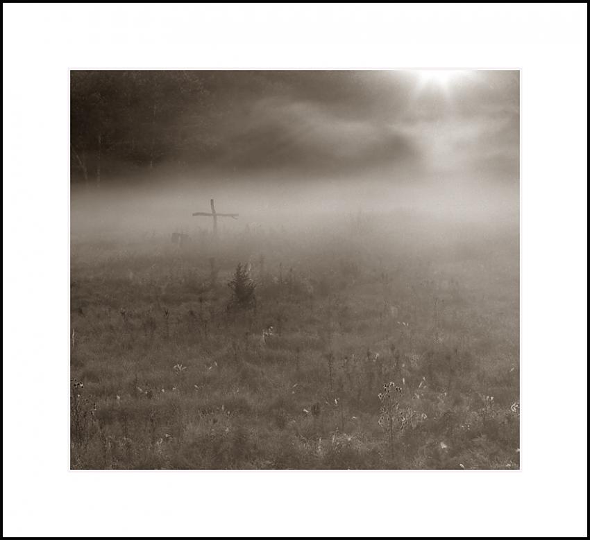 Sunlight, Fog, and Cross