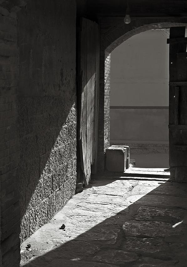 sunlight