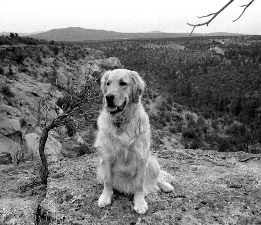 Sunny at Water Canyon