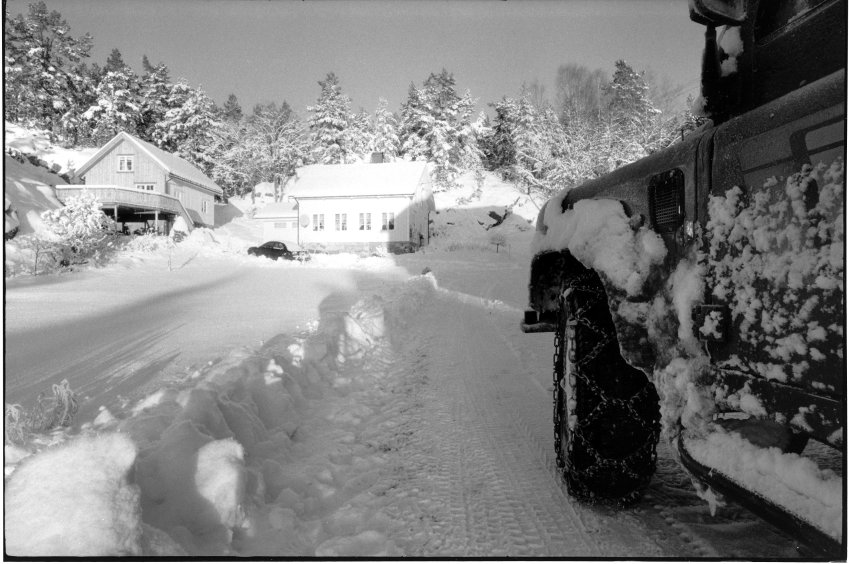 Sunny Day And Snow