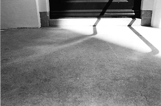 Sunny Stoop