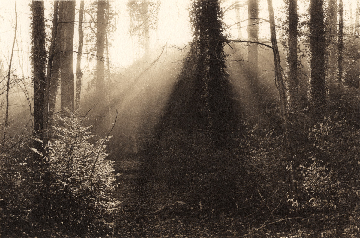 Sunrise, Aarau, 2022