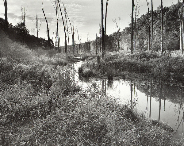 Sunrise, Beaver Marsh
