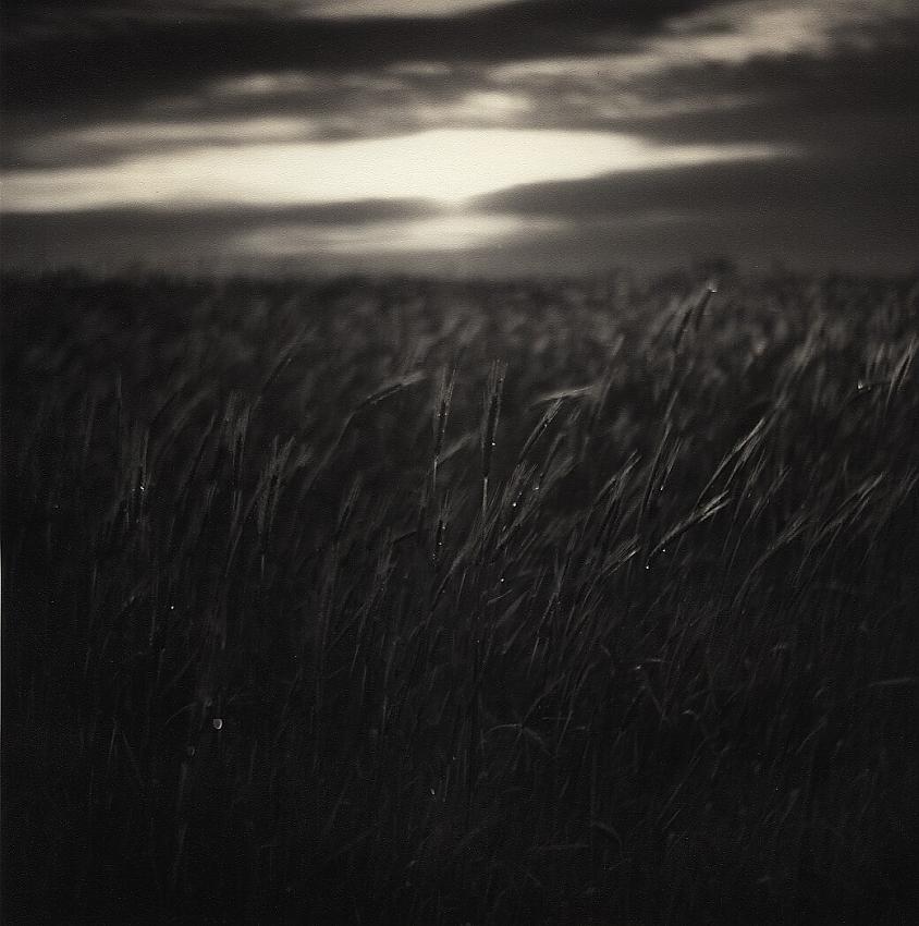 Sunrise on Rye (print)