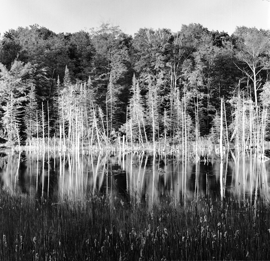 Sunrise, O'neal Lake