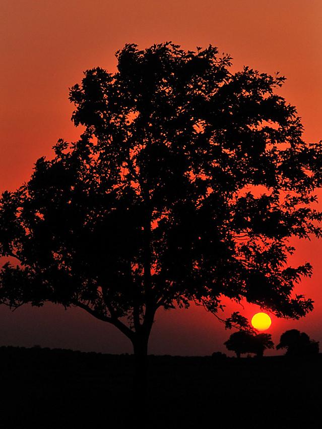 Sunset cropped
