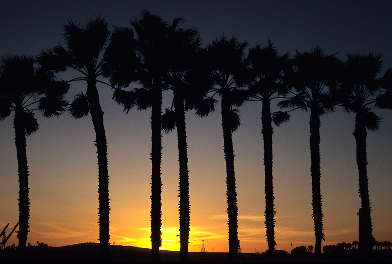 Sunset in Long Beach
