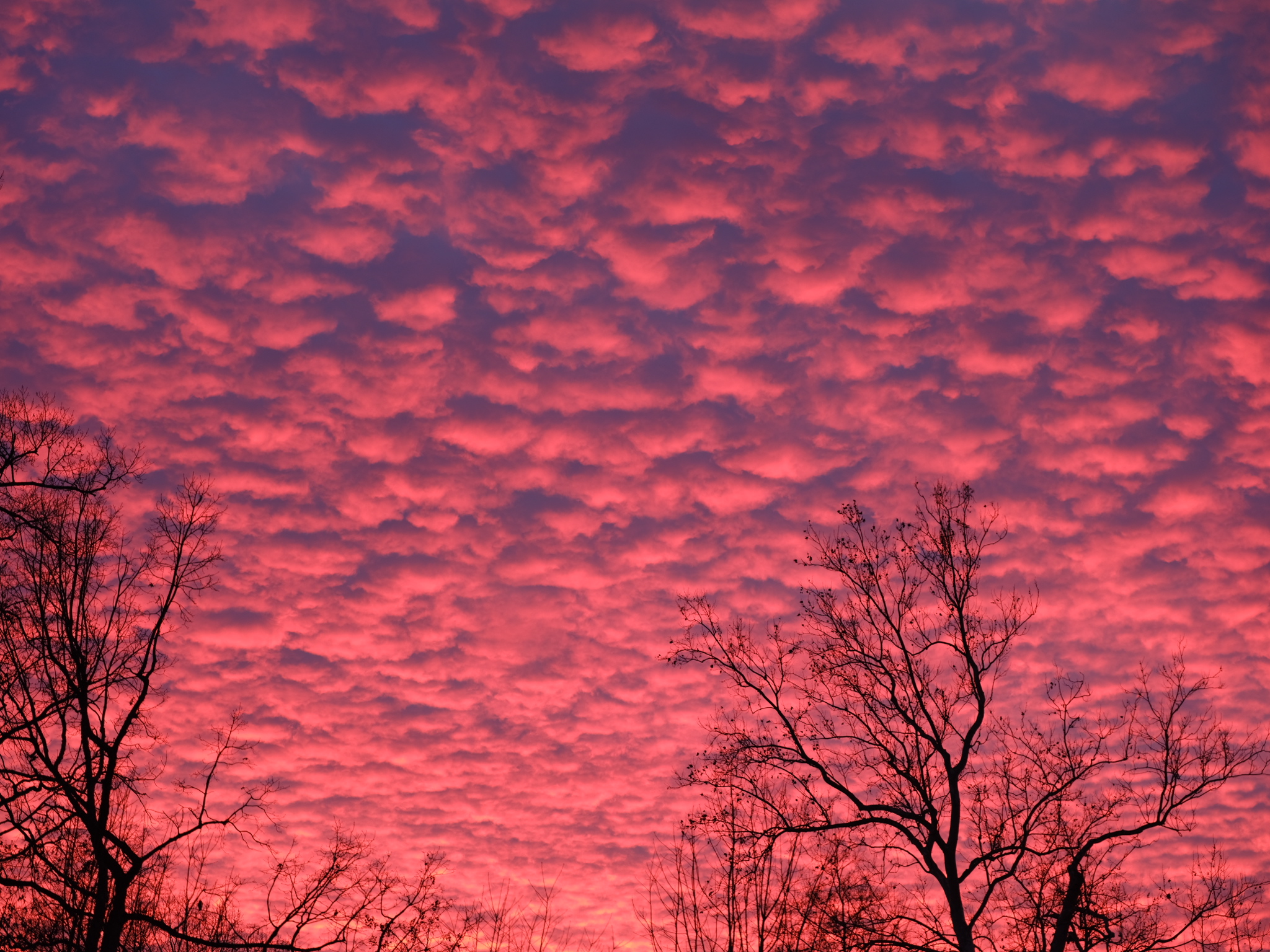 Sunset Over Glen Echo Park