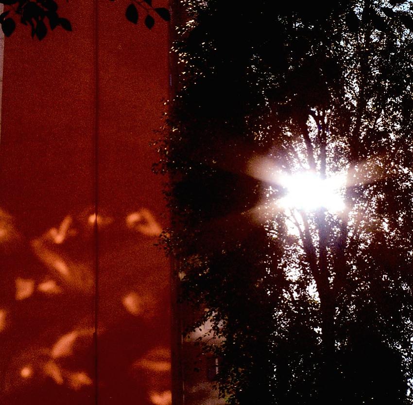 Sunshine of your Love
