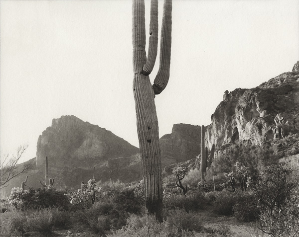 Superstition Mountains, Arizona, 2008