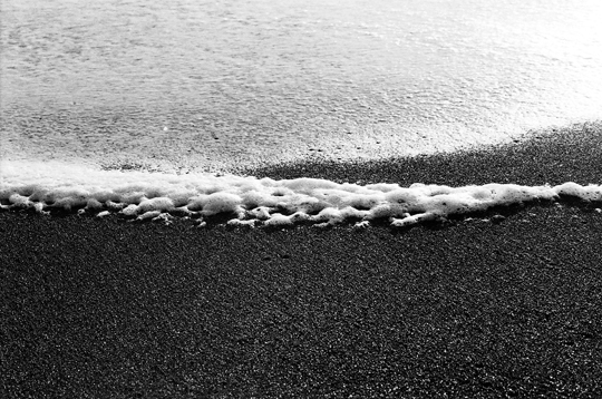 Surf by Rosie