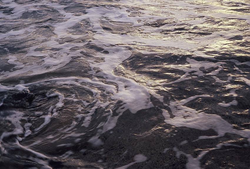 surf