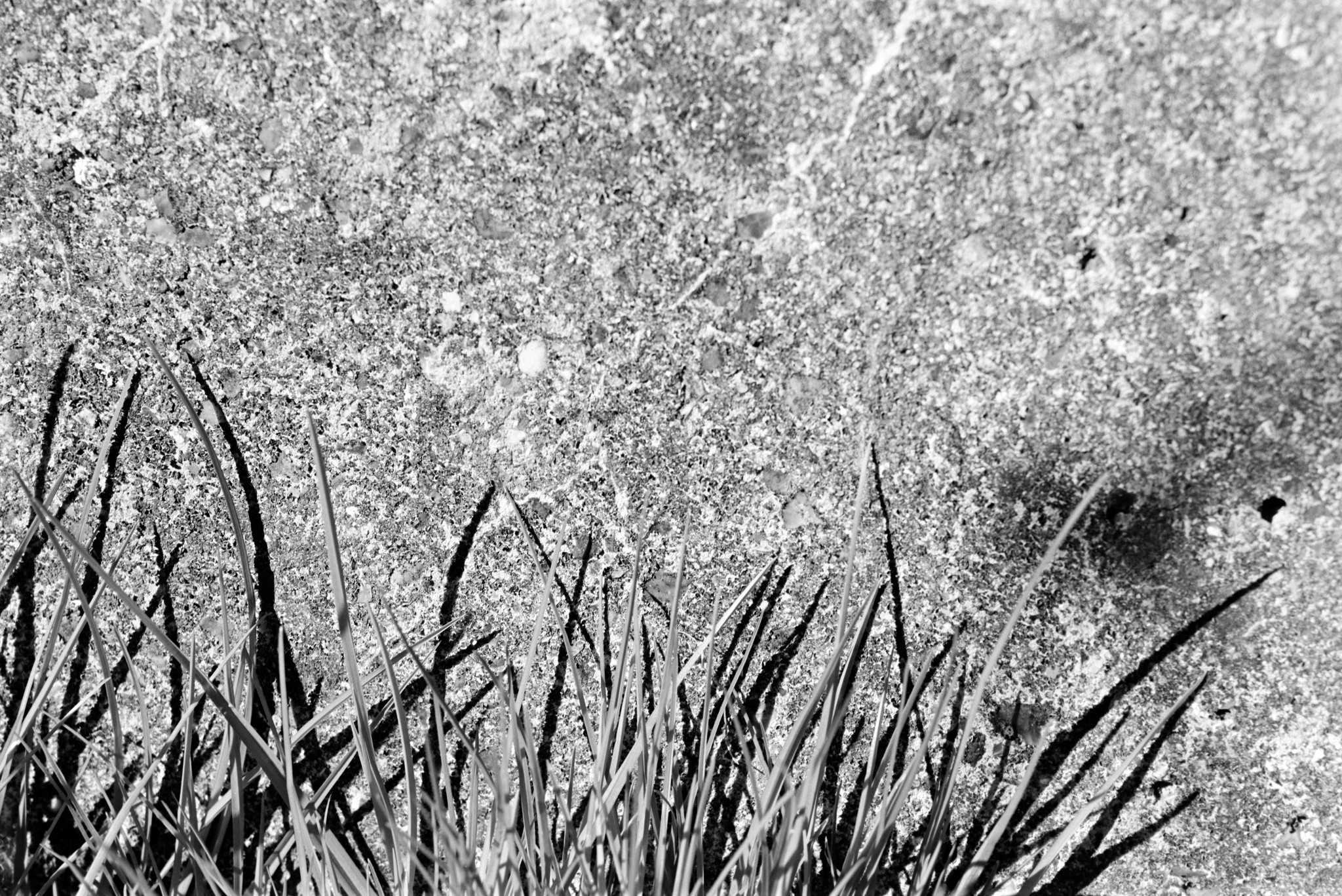 Surface - 3