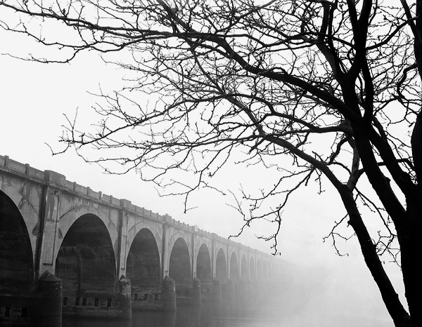 Susquehanna in Fog