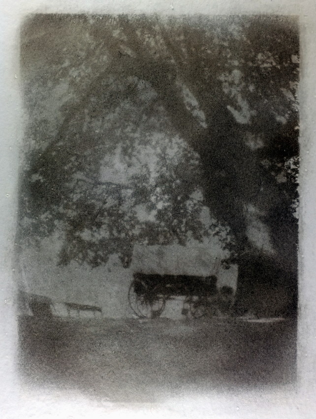 Sutters Fort Oak and Cart
