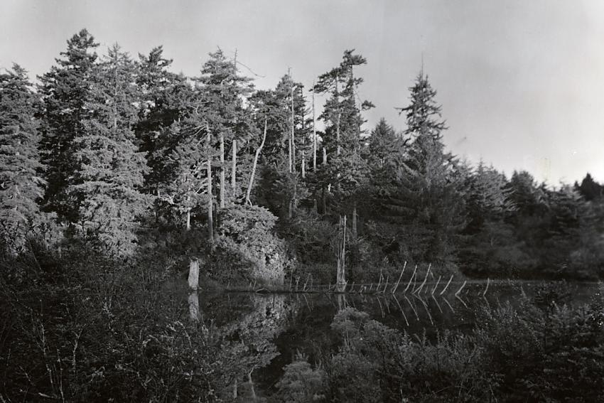 Sutton Lake, western annex