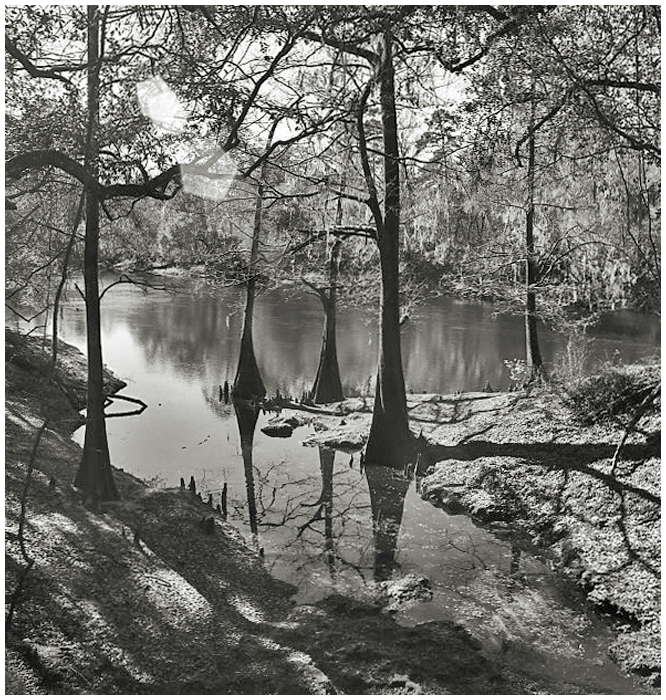 Suwanee River SP