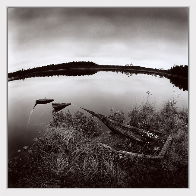 Swallowed by the swamp