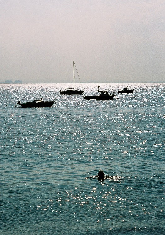 Swimmer