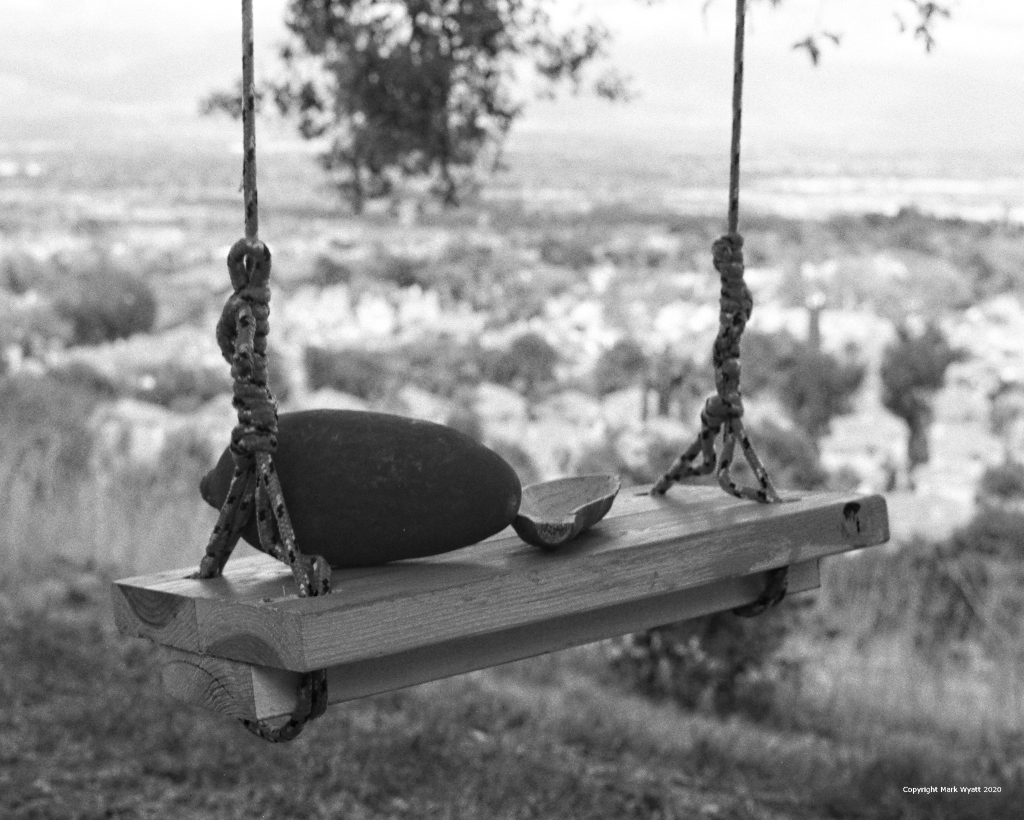 Swinging Baobab