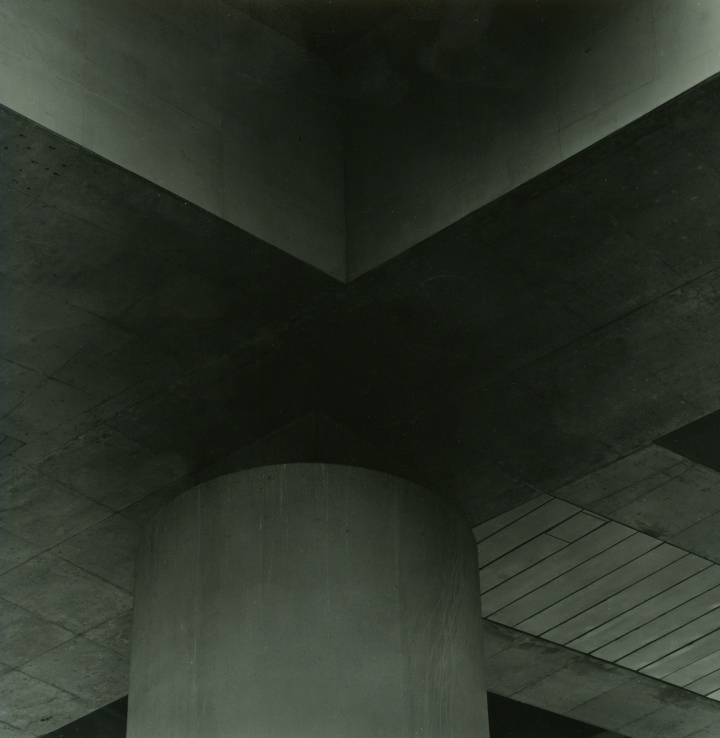 Sydney Study 10