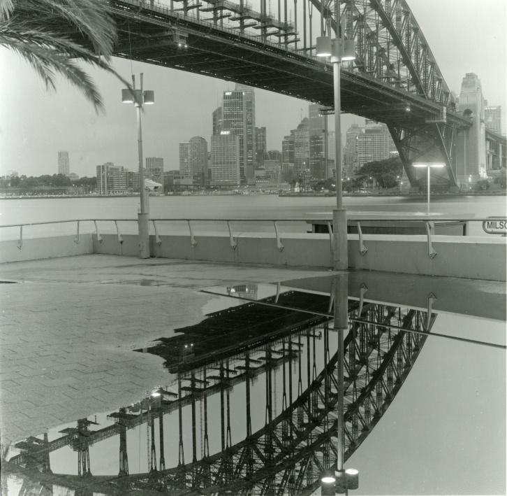Sydney Study 4