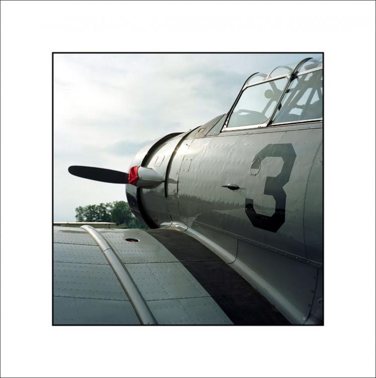 T-6 Texan