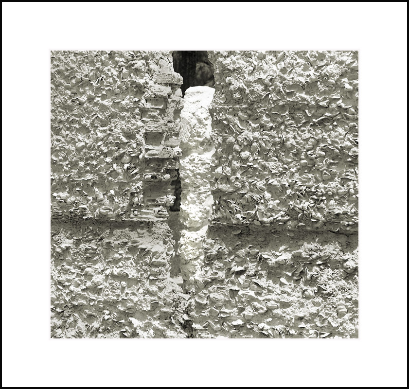 Tabby Abstract
