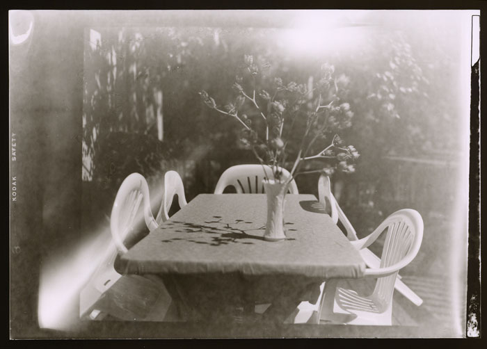 Table and Thistle