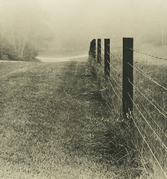 take me home..