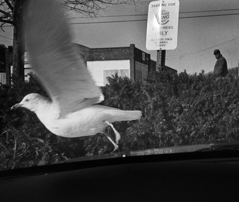 takeoff