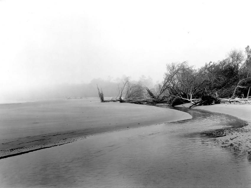 Talbot Island