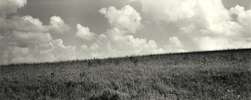 Tall Grass and Sky, Greenwood County