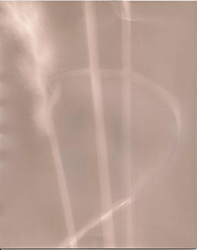 Tall Grass Lumen