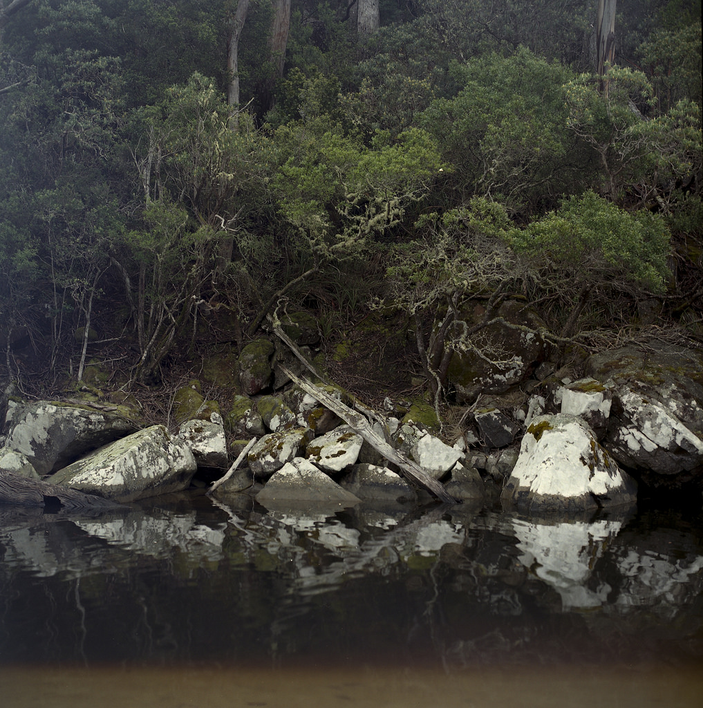 Tannin-stained lagoon