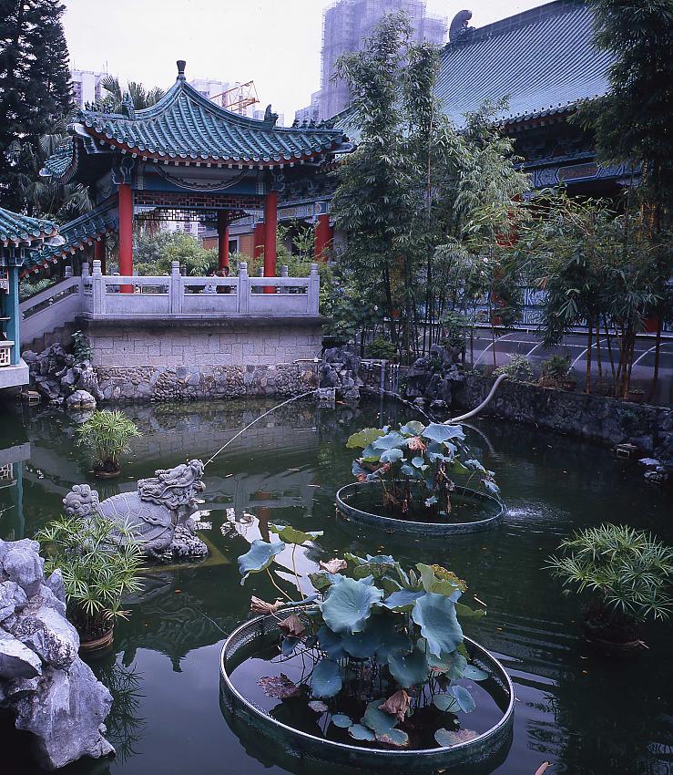 Taoist Garden