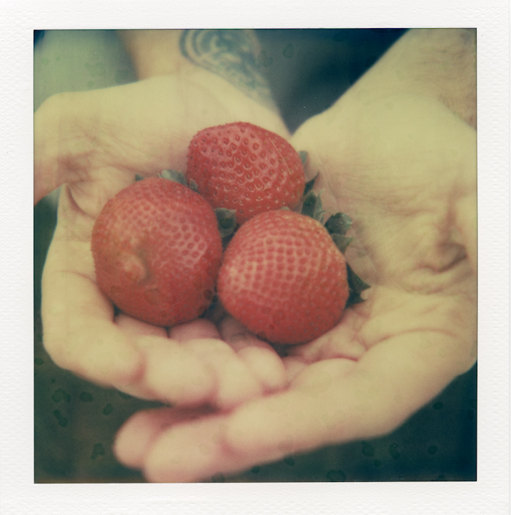 Taste Of Summer