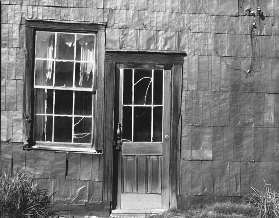 Tattered curtains, tangled wires, Bodie
