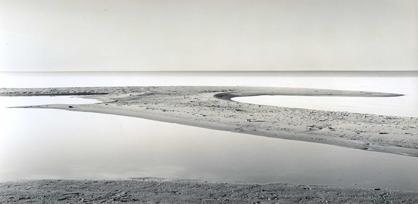 Tawas