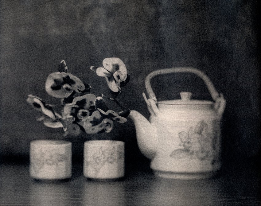 Teapot & Orchid